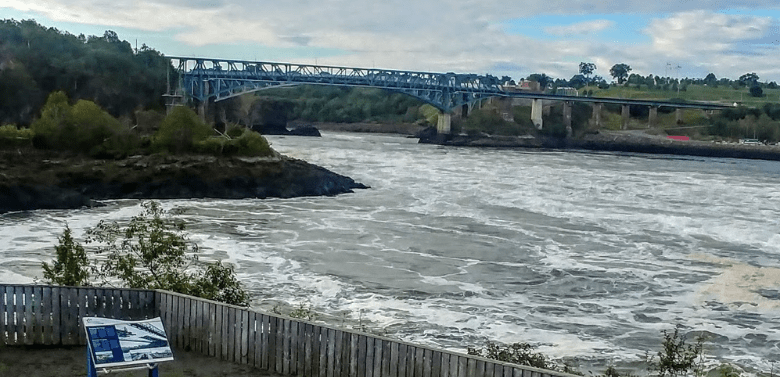 Take in the view at Fallsview Park | Discover Saint John