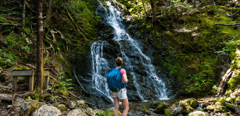 Fundy Trail Provincial Park | Discover Saint John